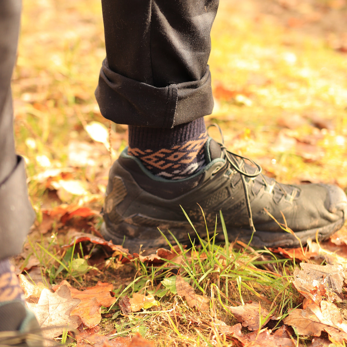 Everyday Merino Socks