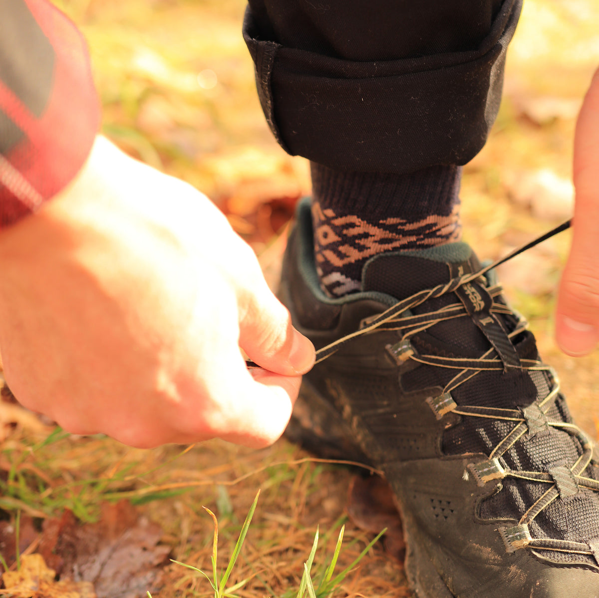 Everyday Merino Socks